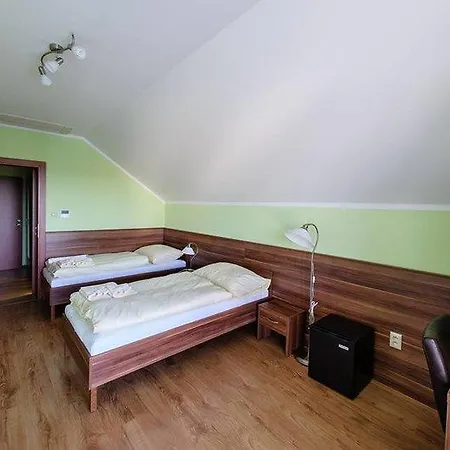 Penzión pre hostí Havran 2*